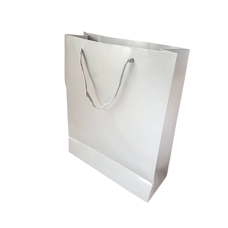Plain Silver  coloured  large  gift  carrier  bag.