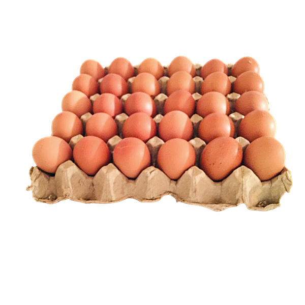 Tray of 30 Large sized organic eggs – 30eggs